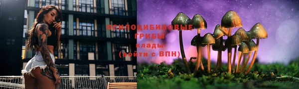 стафф Костерёво