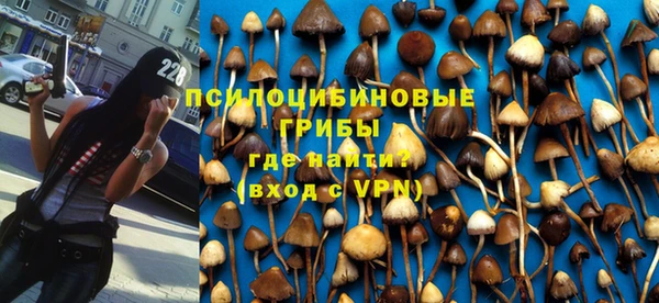 стафф Костерёво