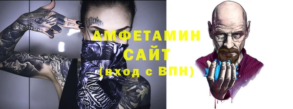индика Коряжма