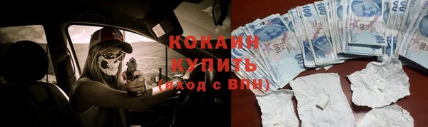 индика Коряжма