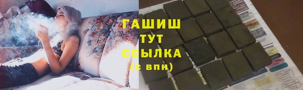 индика Коряжма