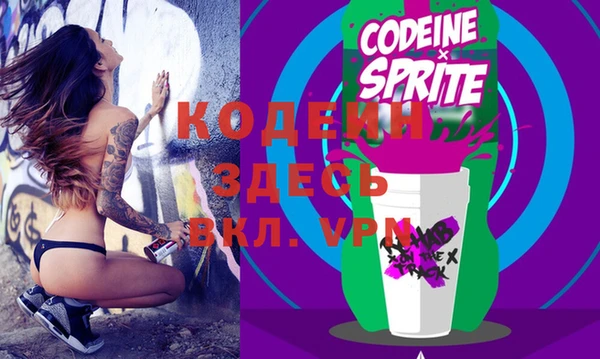индика Коряжма