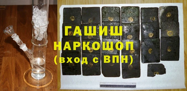 индика Коряжма
