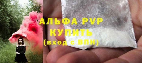 индика Коряжма