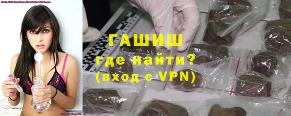 индика Коряжма