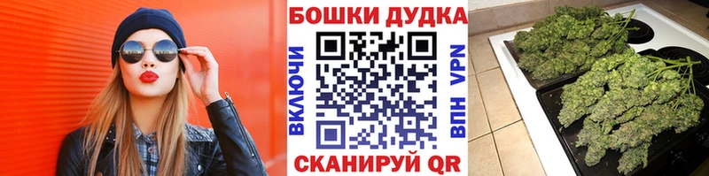 Конопля THC 21%  Купить где  Бакал 